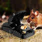 Smart Mouse Trap – Safe & Effective Pest Control