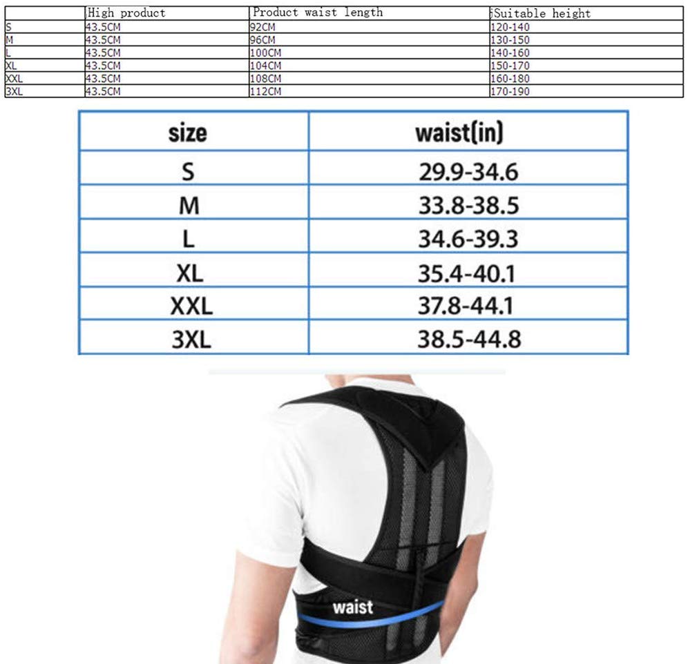 Back Pain Relief Posture Corrector Belt(Free Delivery)
