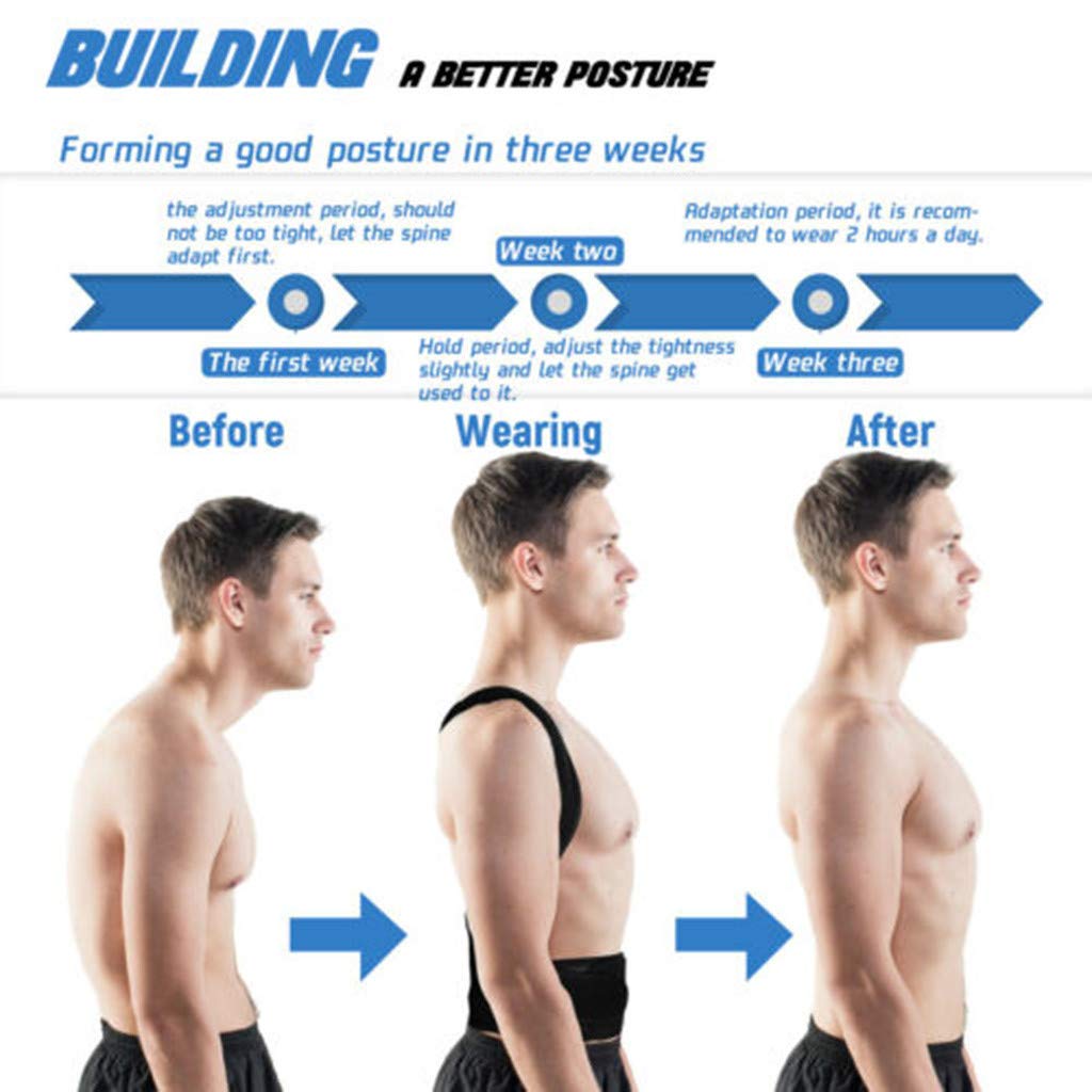 Back Pain Relief Posture Corrector Belt(Free Delivery)